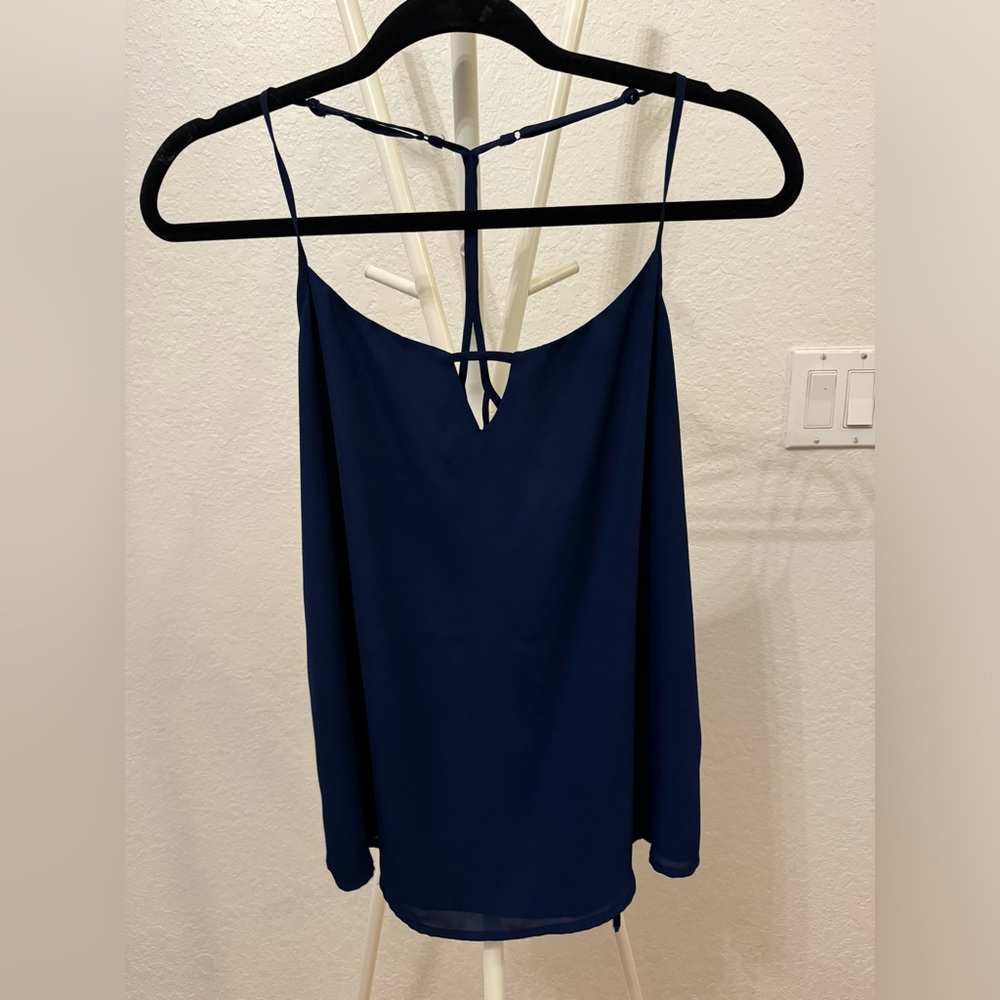 Naked Zebra Blue Top